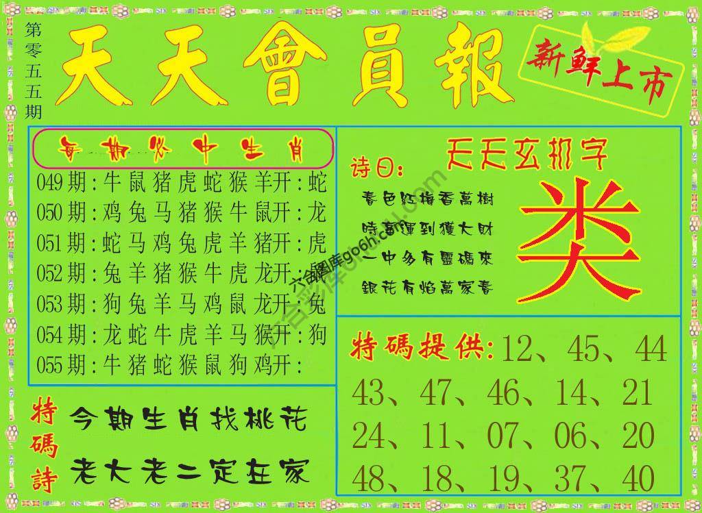 天天会员报