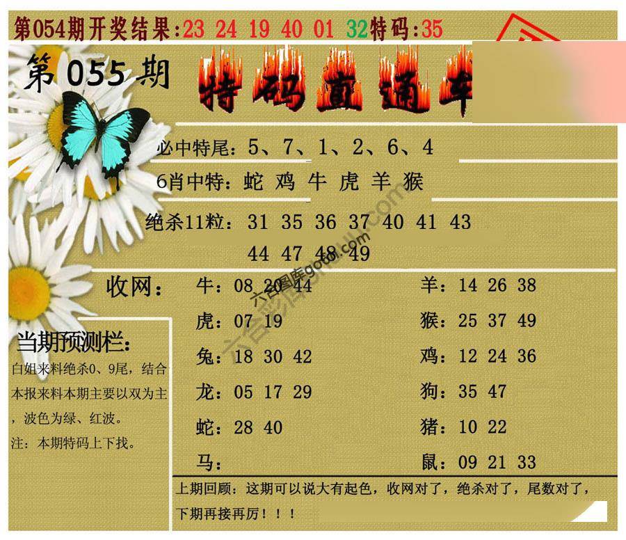 特码直通车