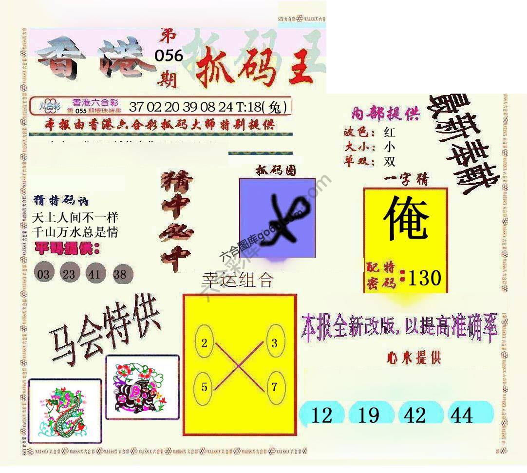 新抓码王
