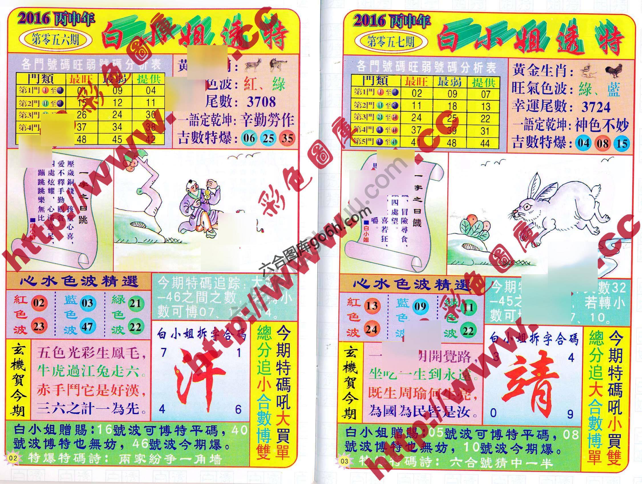 白小姐透特