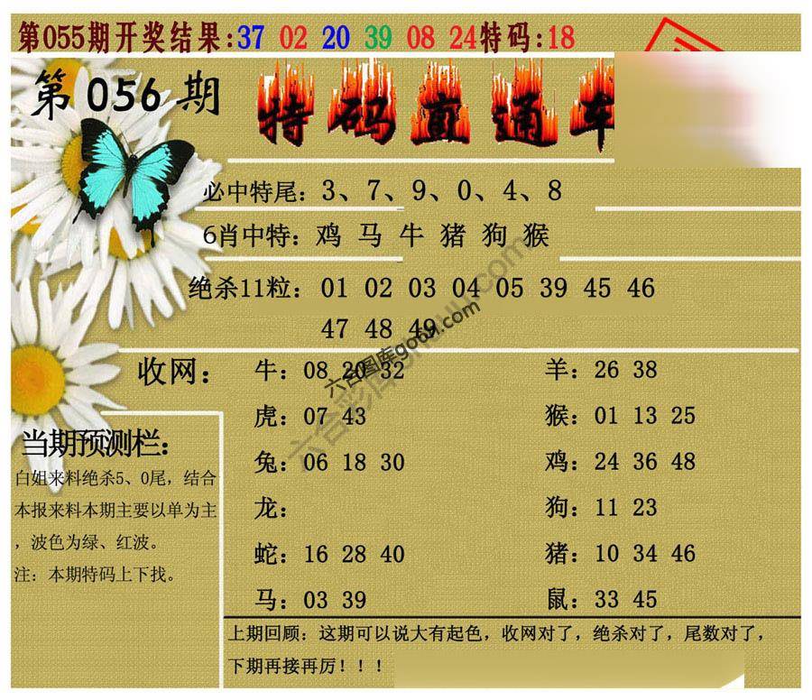 特码直通车