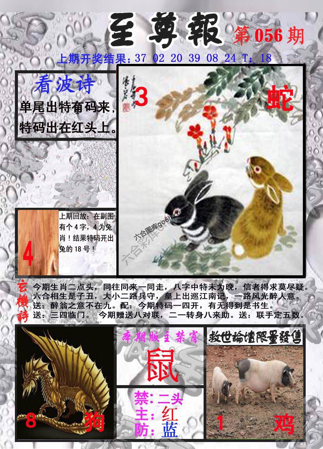至尊报