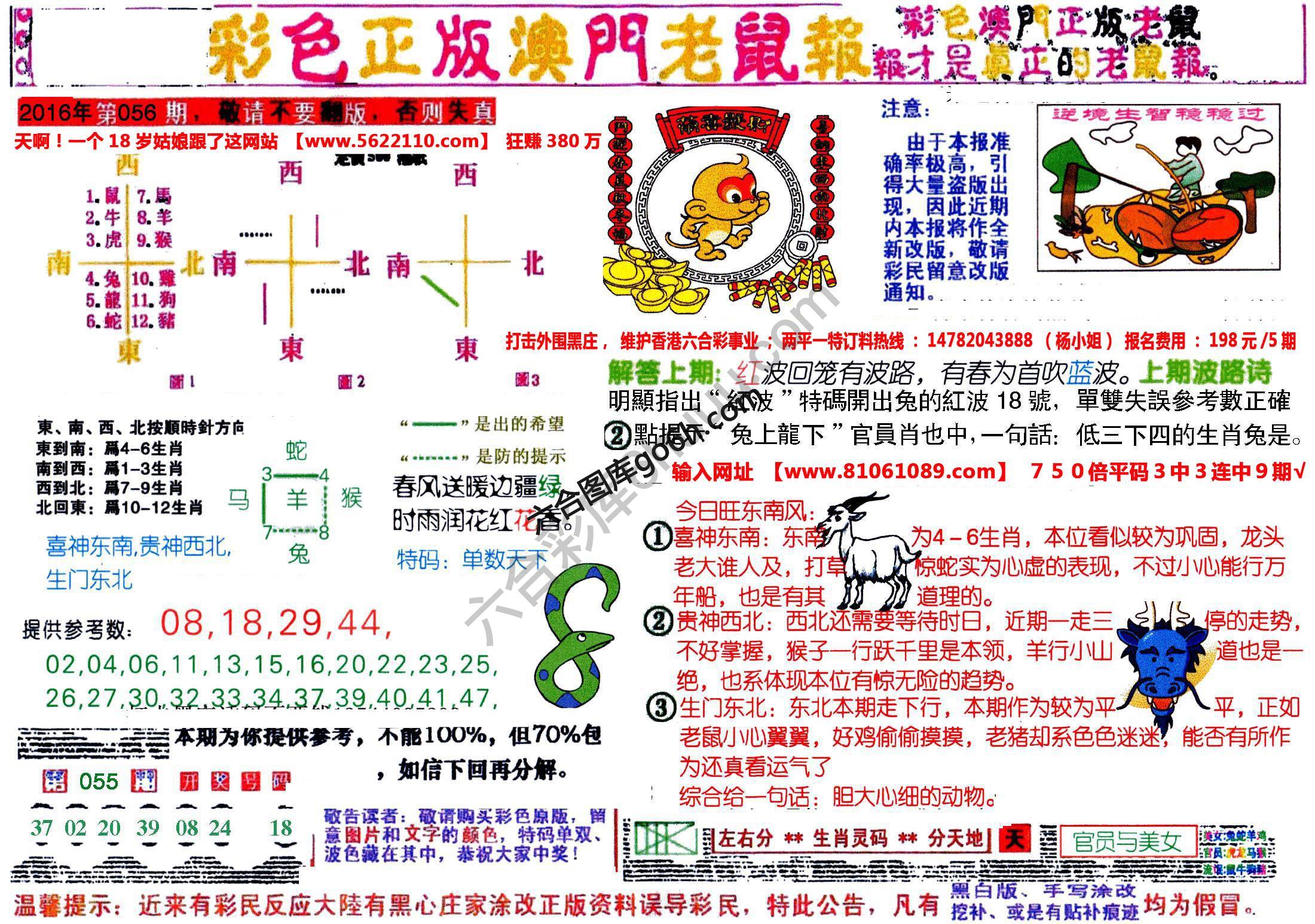 澳门老鼠报