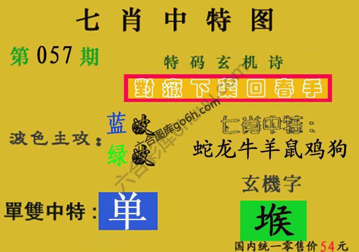 七肖中特图