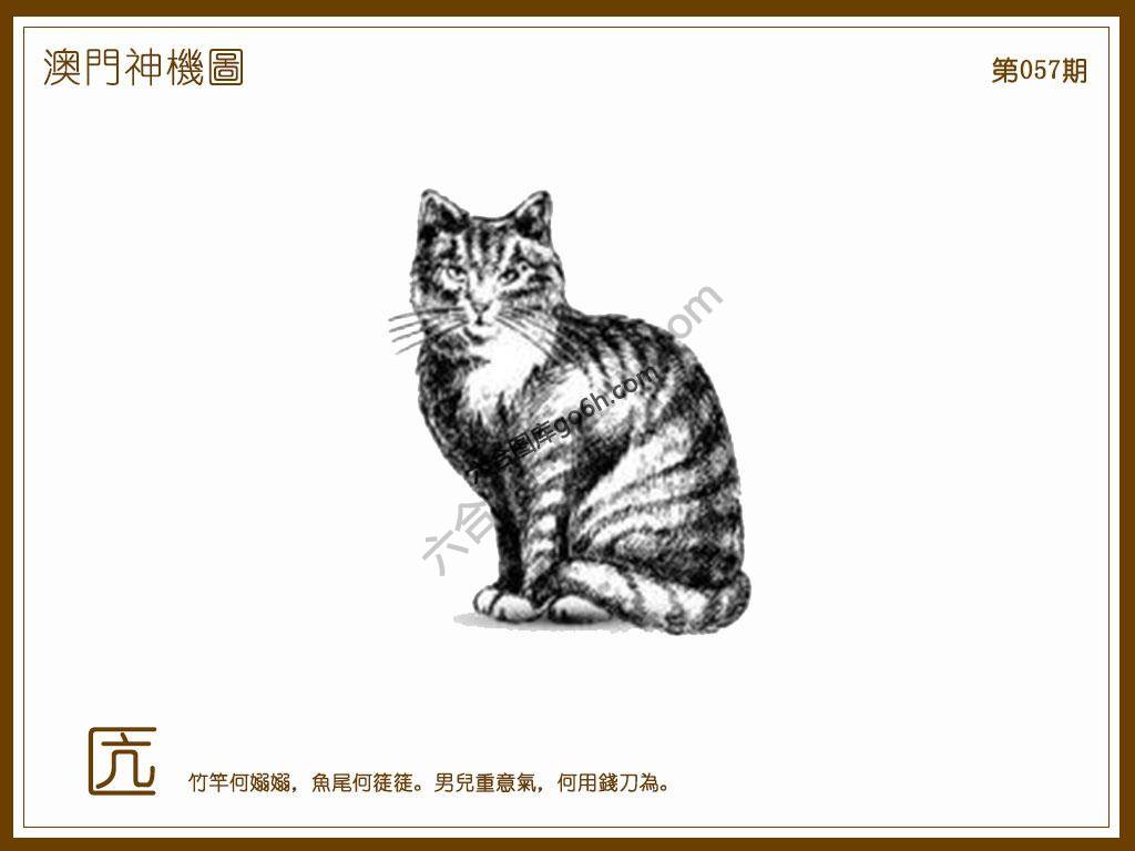 澳门神机图