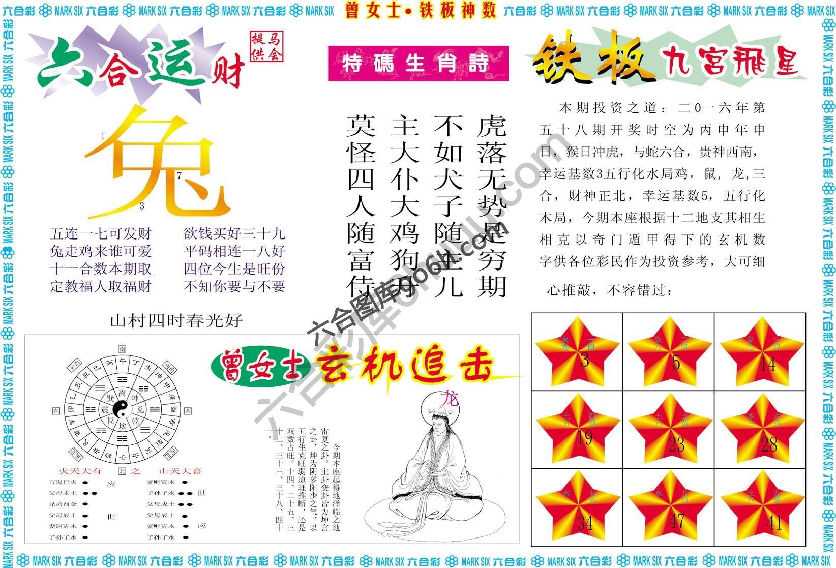曾女士铁板神数