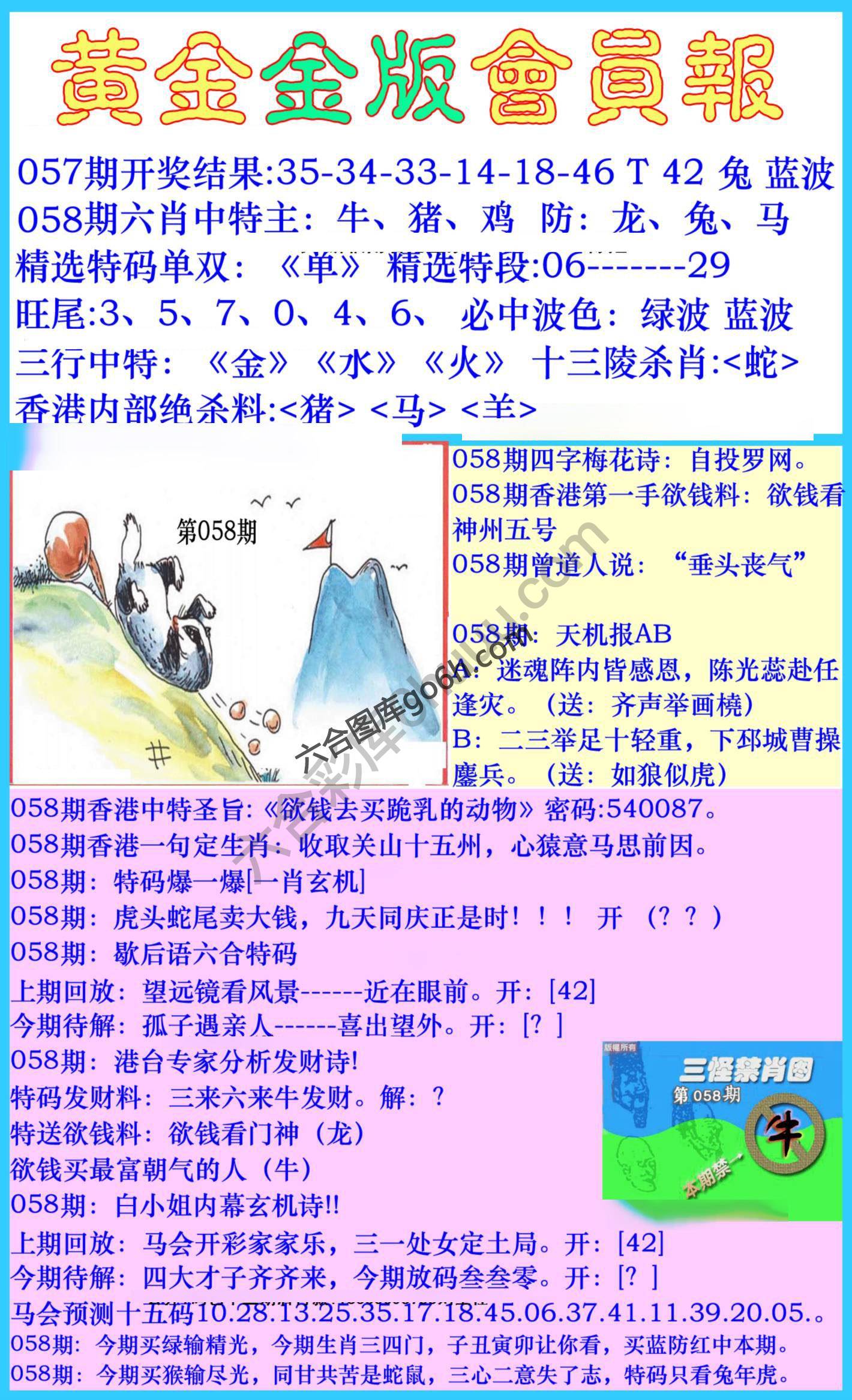 黄金金版会员报