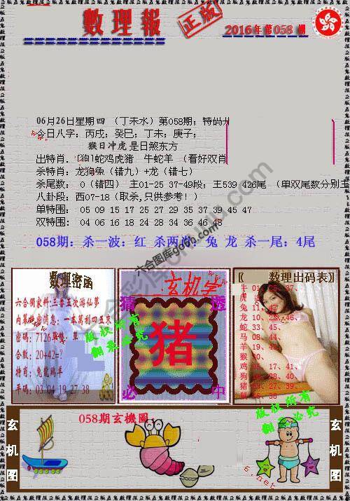 数理报