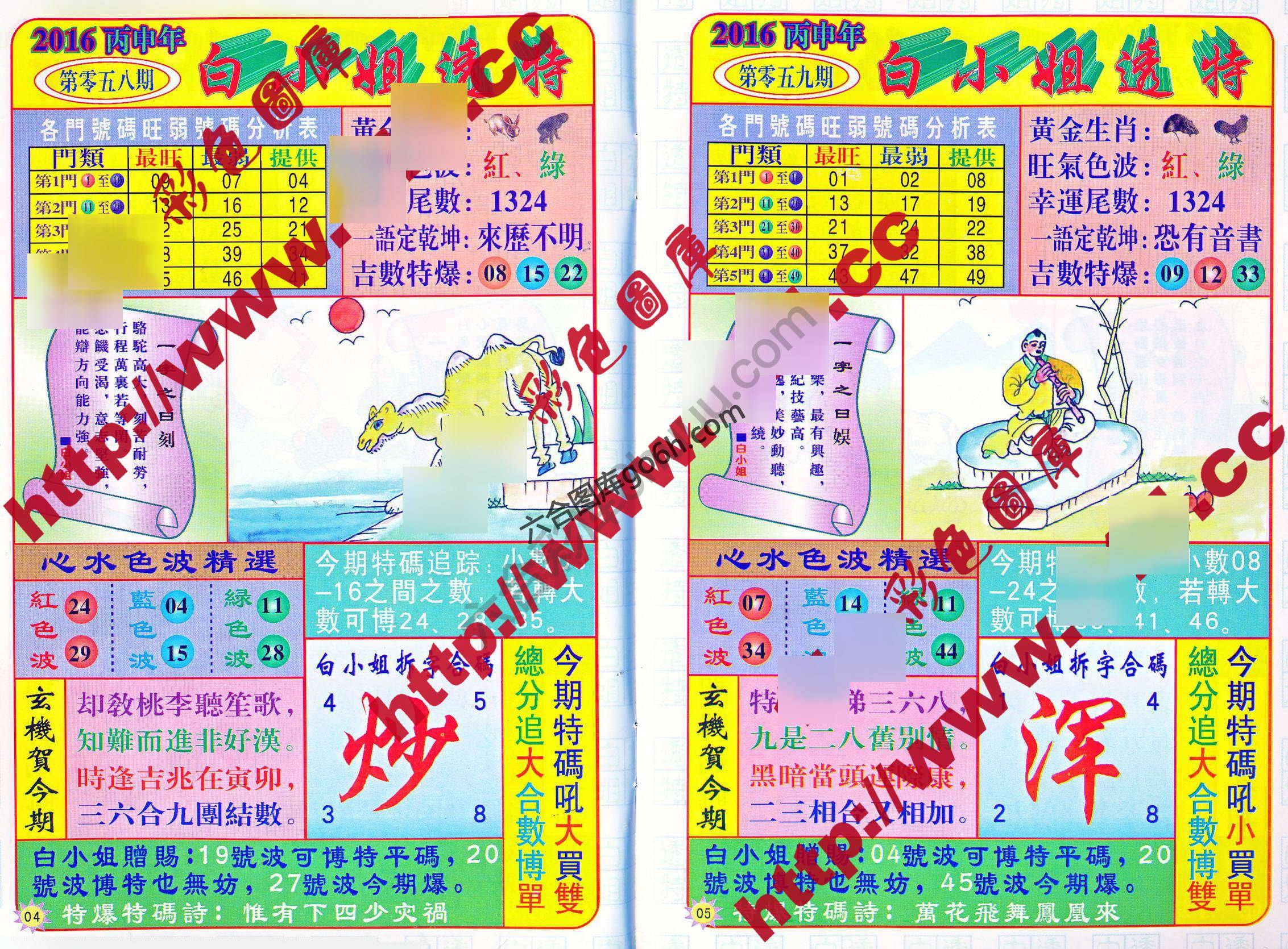白小姐透特