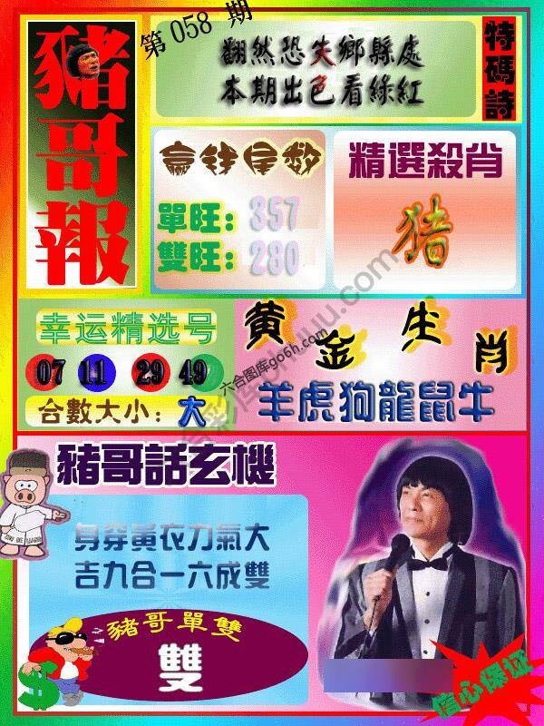 猪哥报