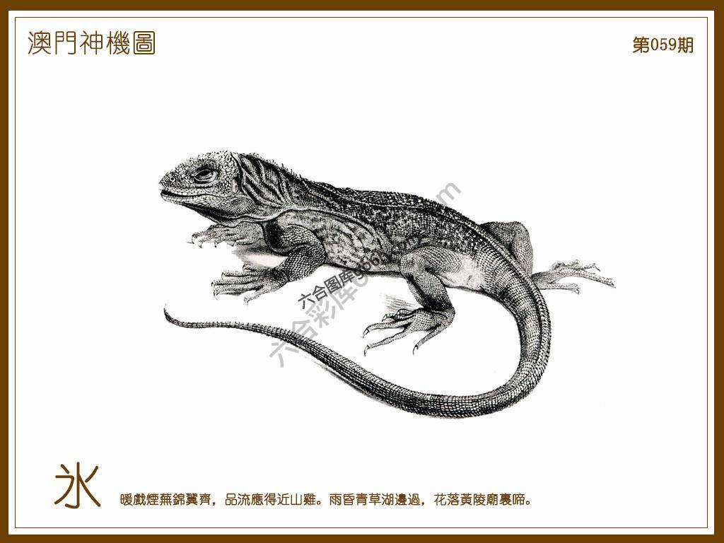 澳门神机图