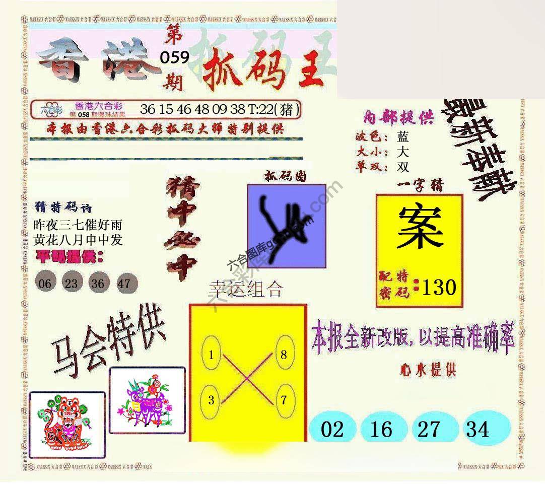 新抓码王