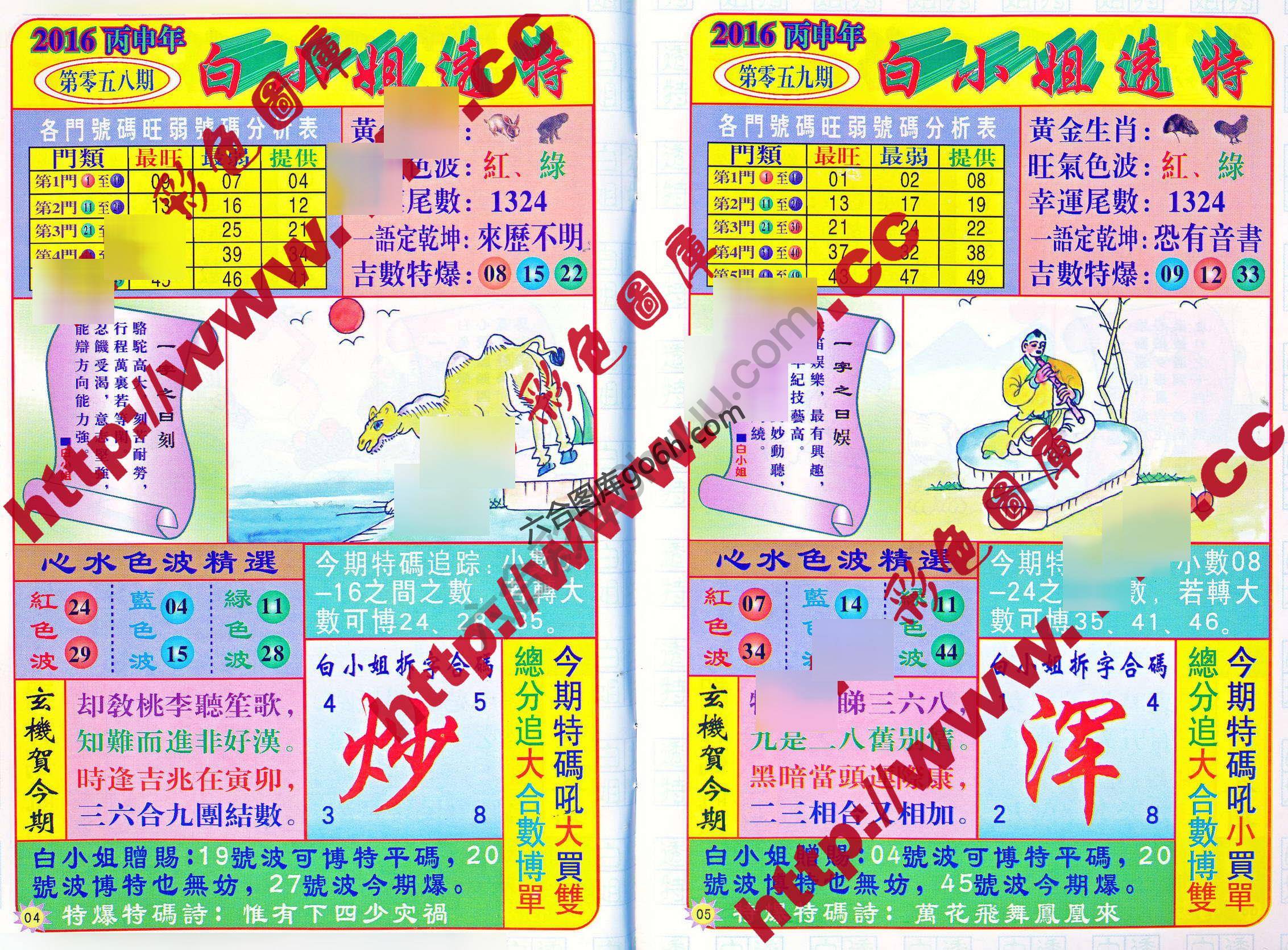白小姐透特