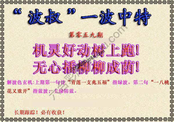 波叔一波中特