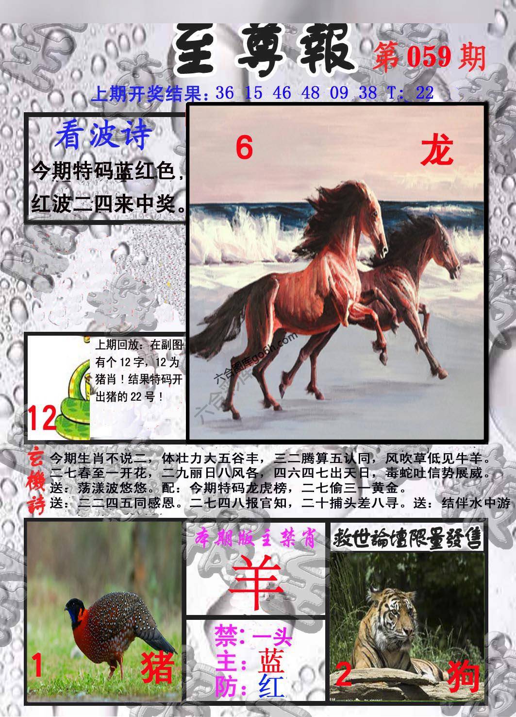 至尊报
