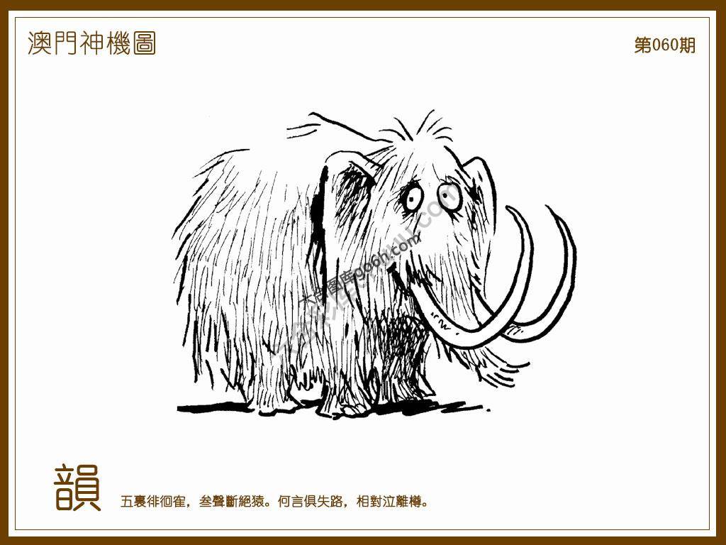 澳门神机图
