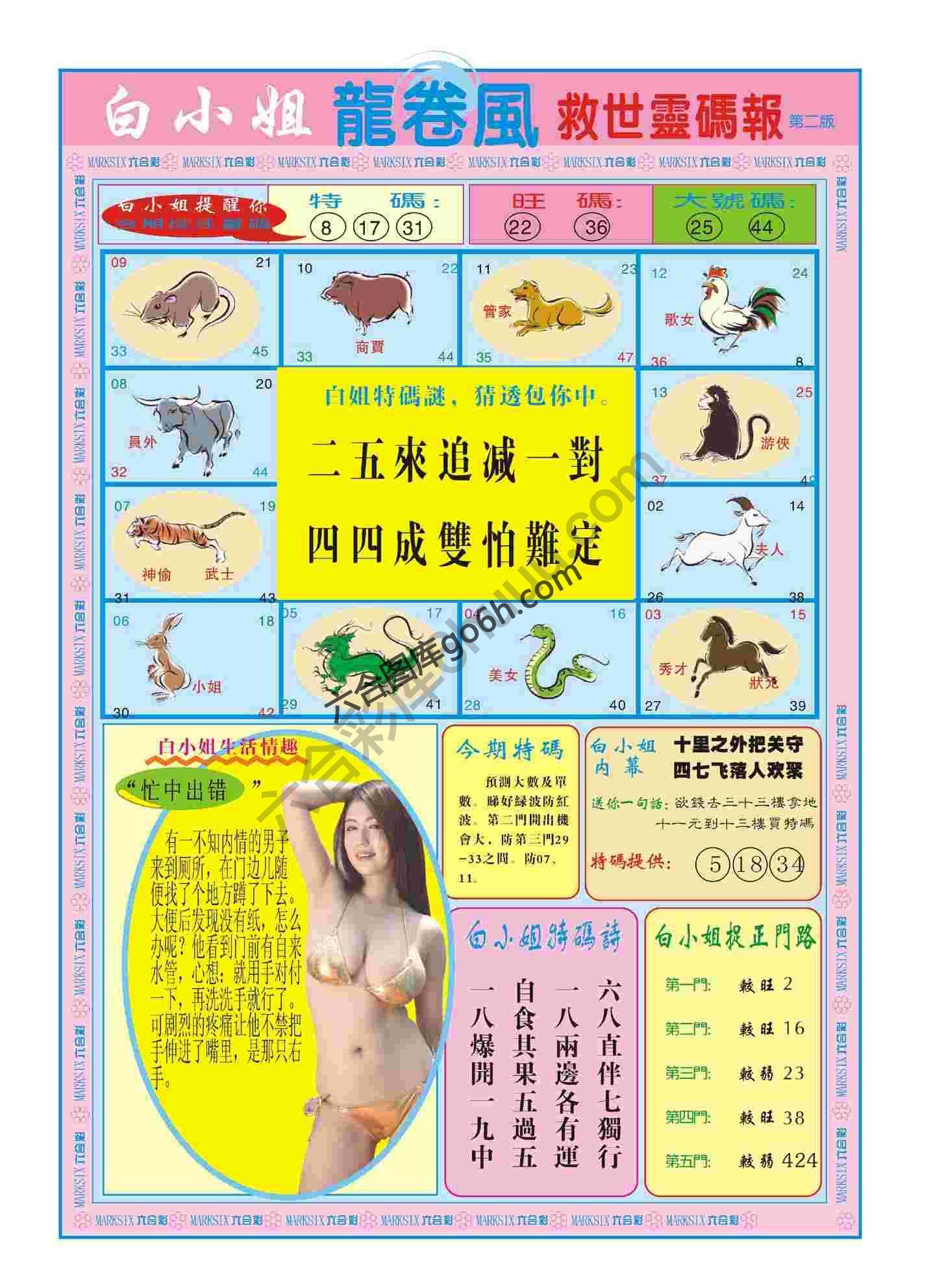 白小姐救世灵码报