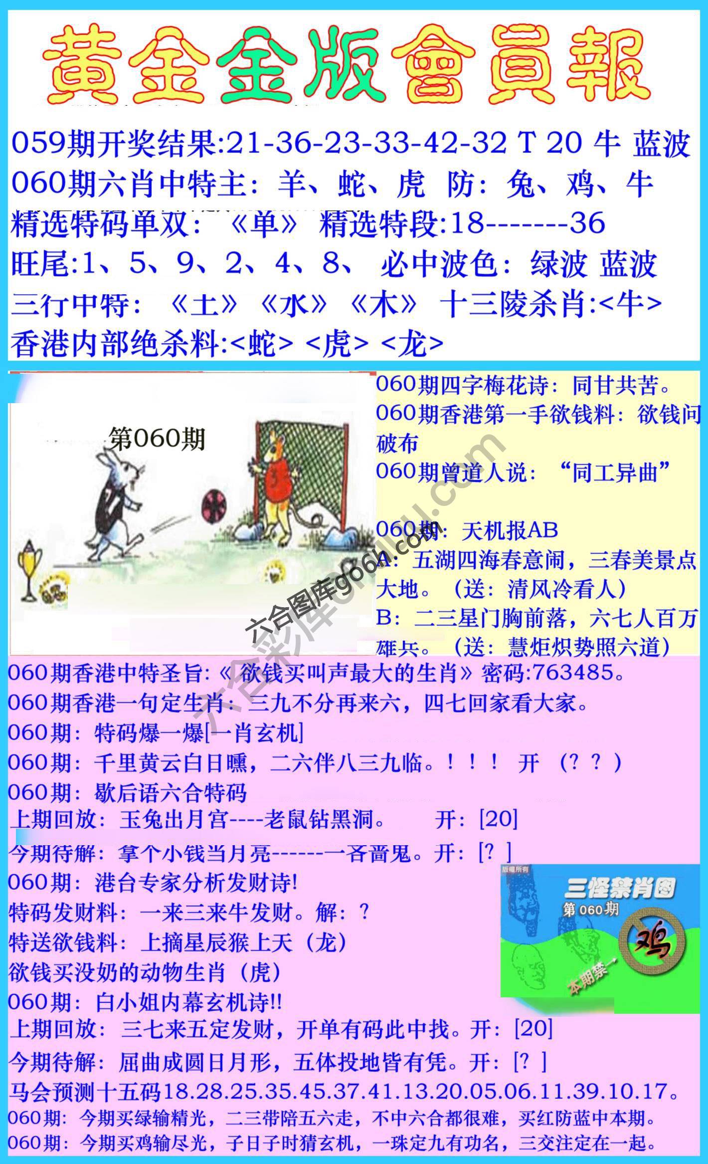黄金金版会员报