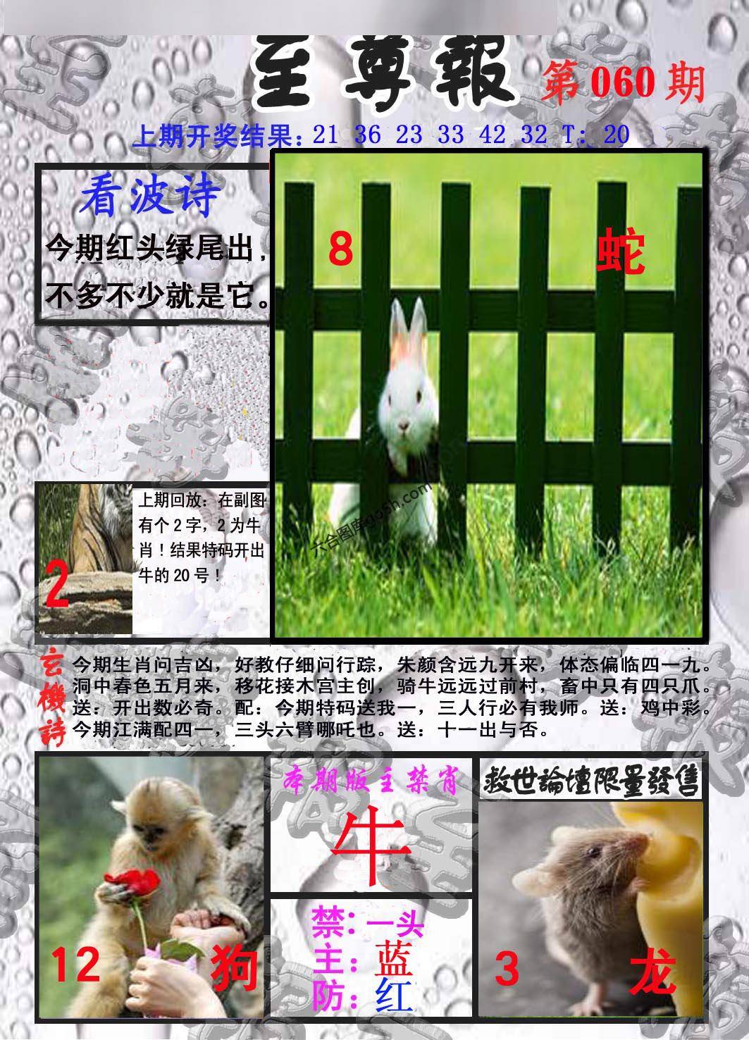 至尊报