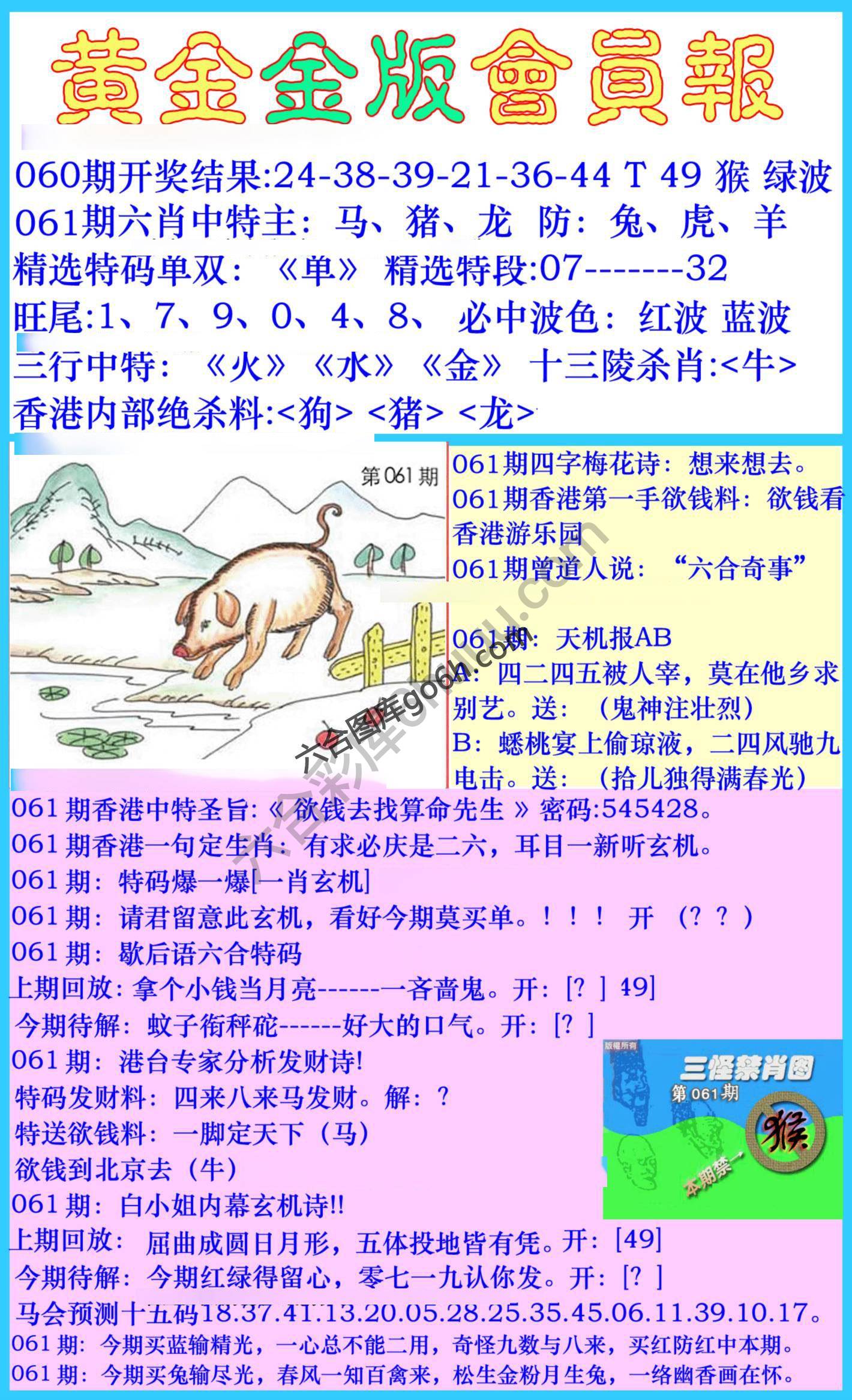黄金金版会员报