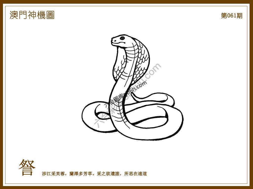 澳门神机图