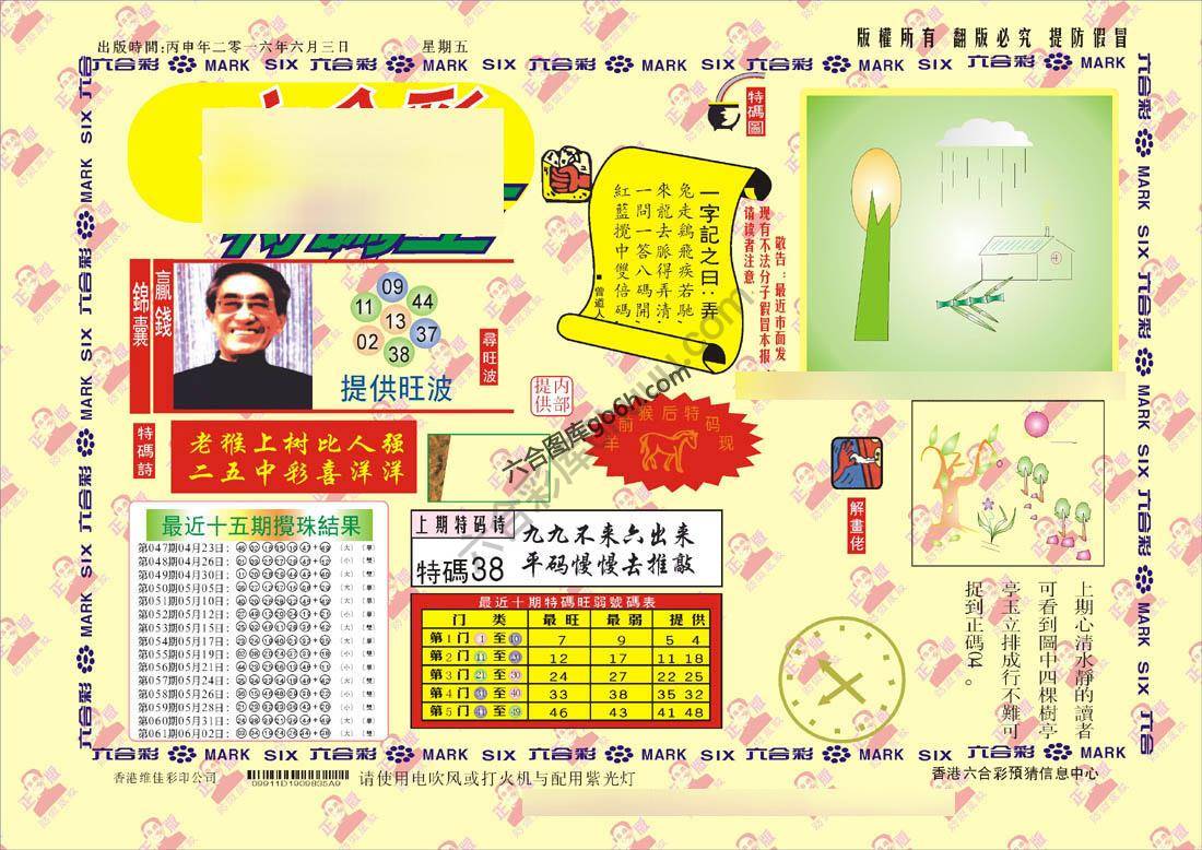 特码王