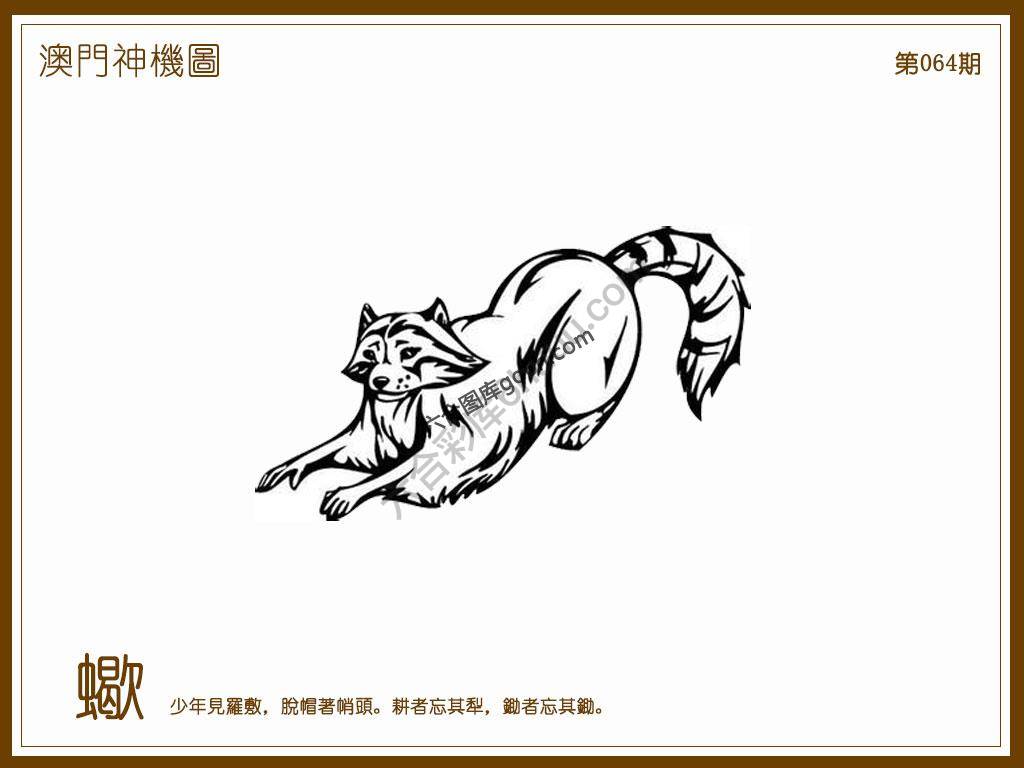 澳门神机图