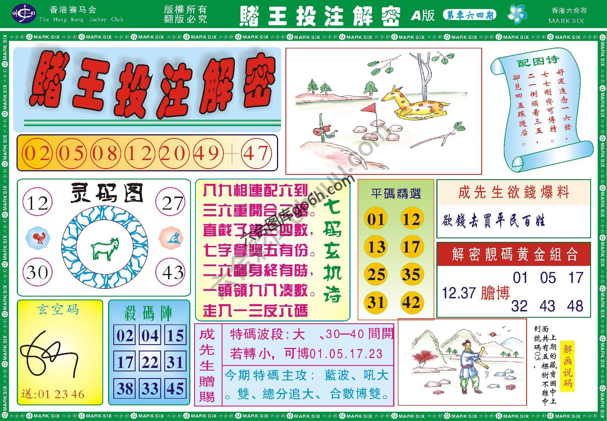 赌王投注解密