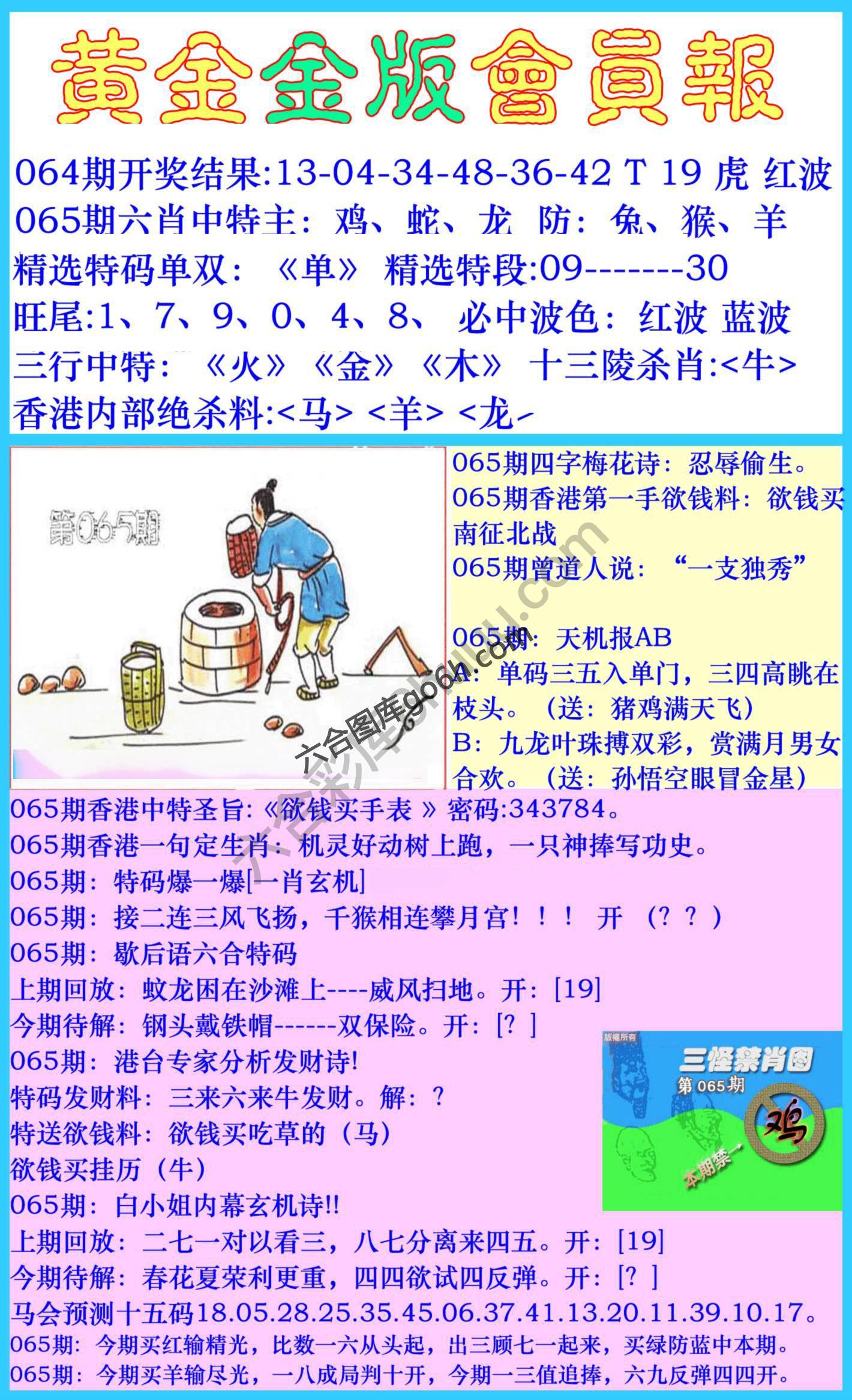 黄金金版会员报