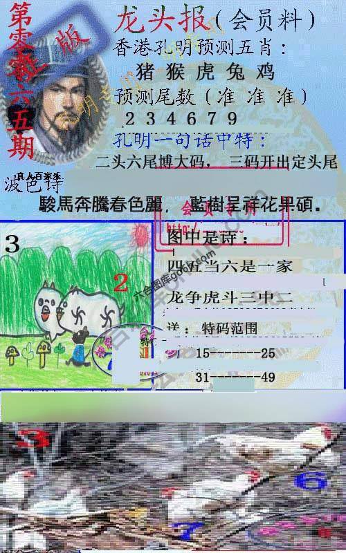 龙头报