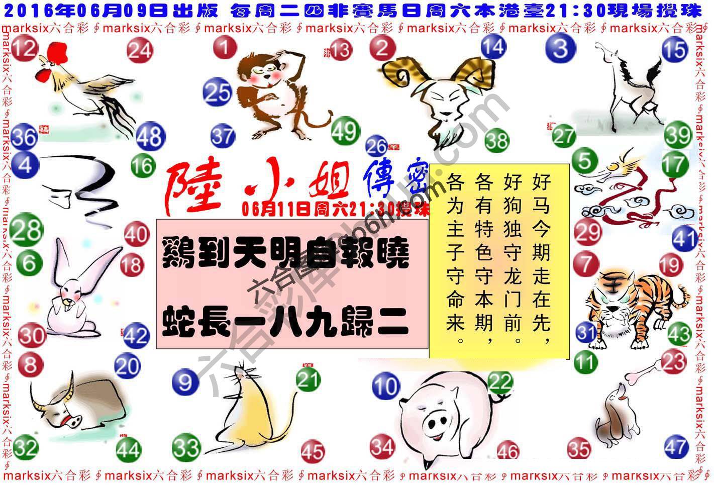陆小姐传密