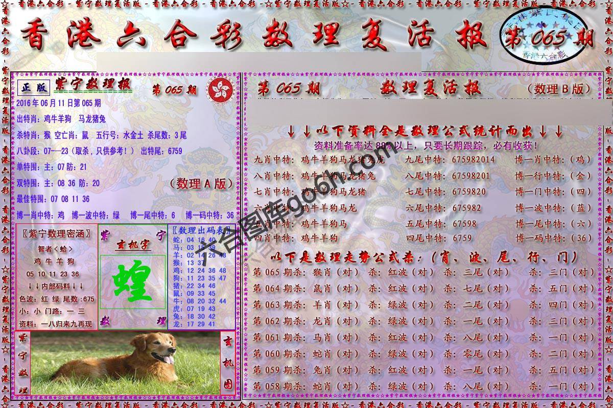 数理复活报