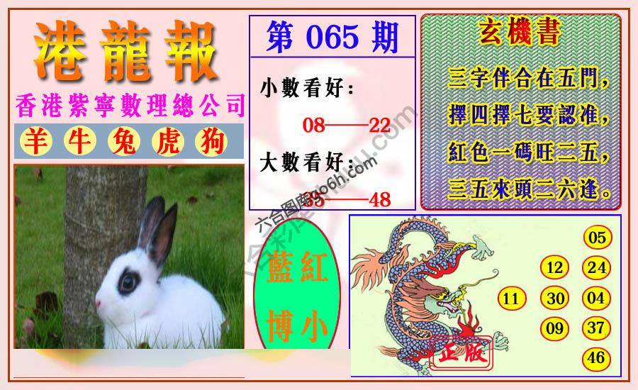 港龙报
