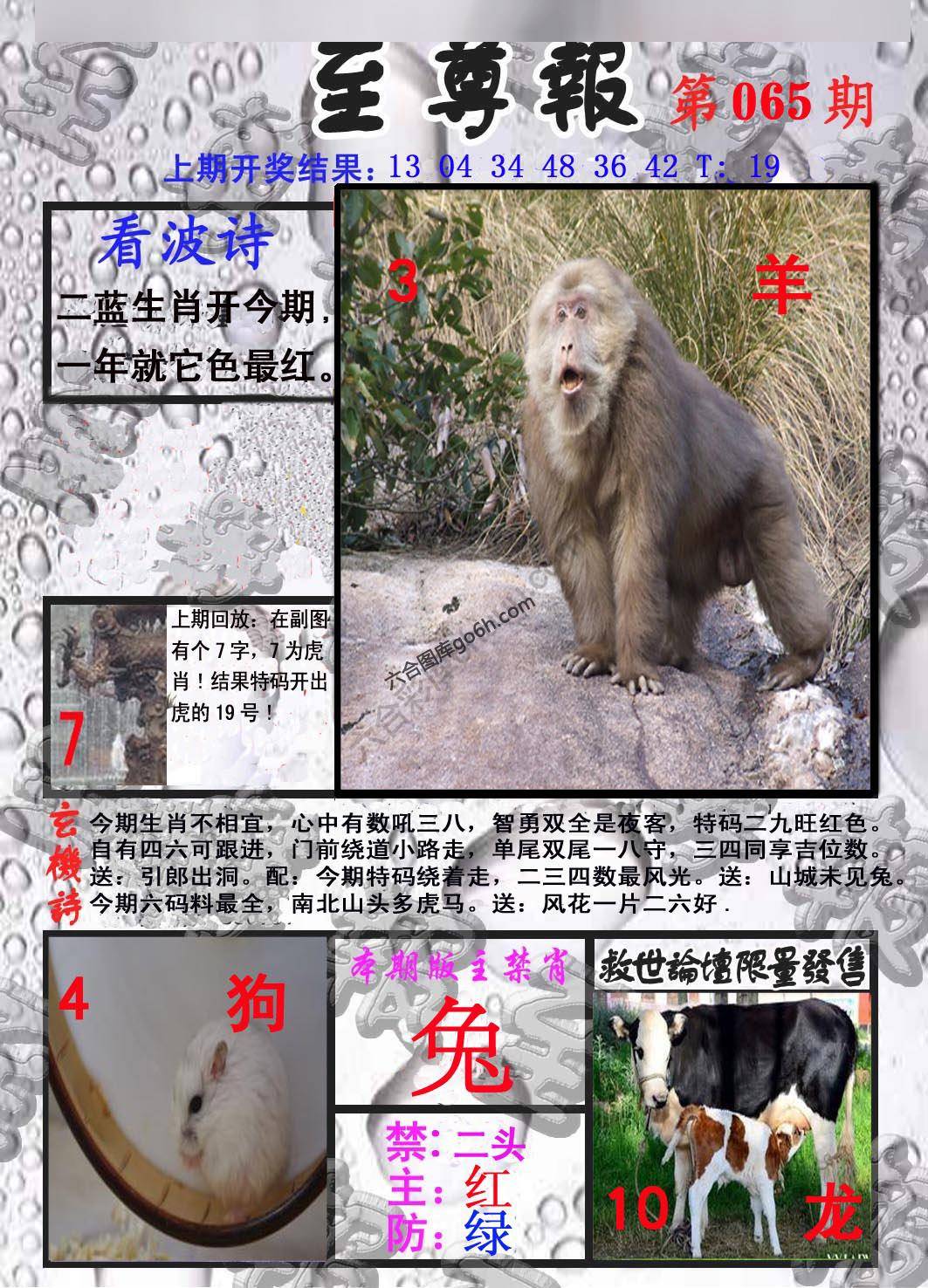至尊报