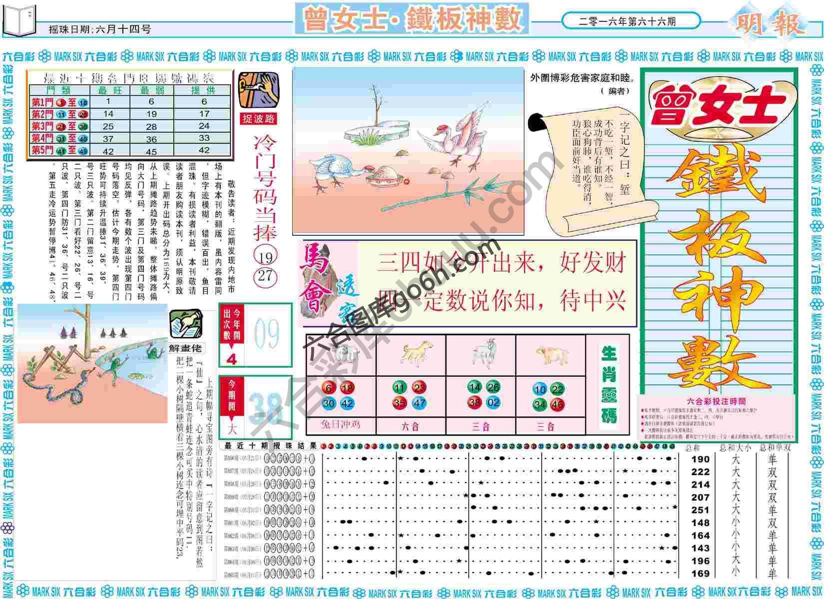 曾女士铁板神数