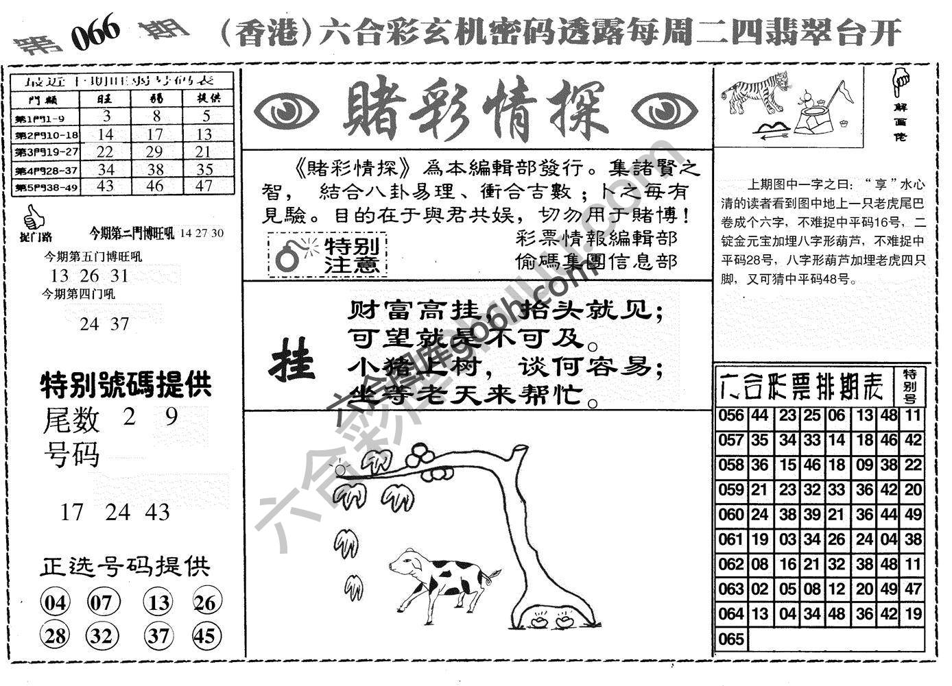赌彩情探