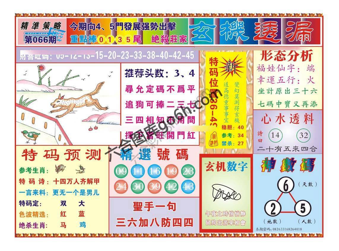 玄机透漏
