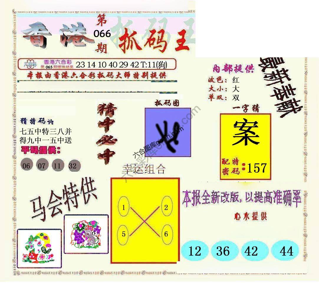 新抓码王