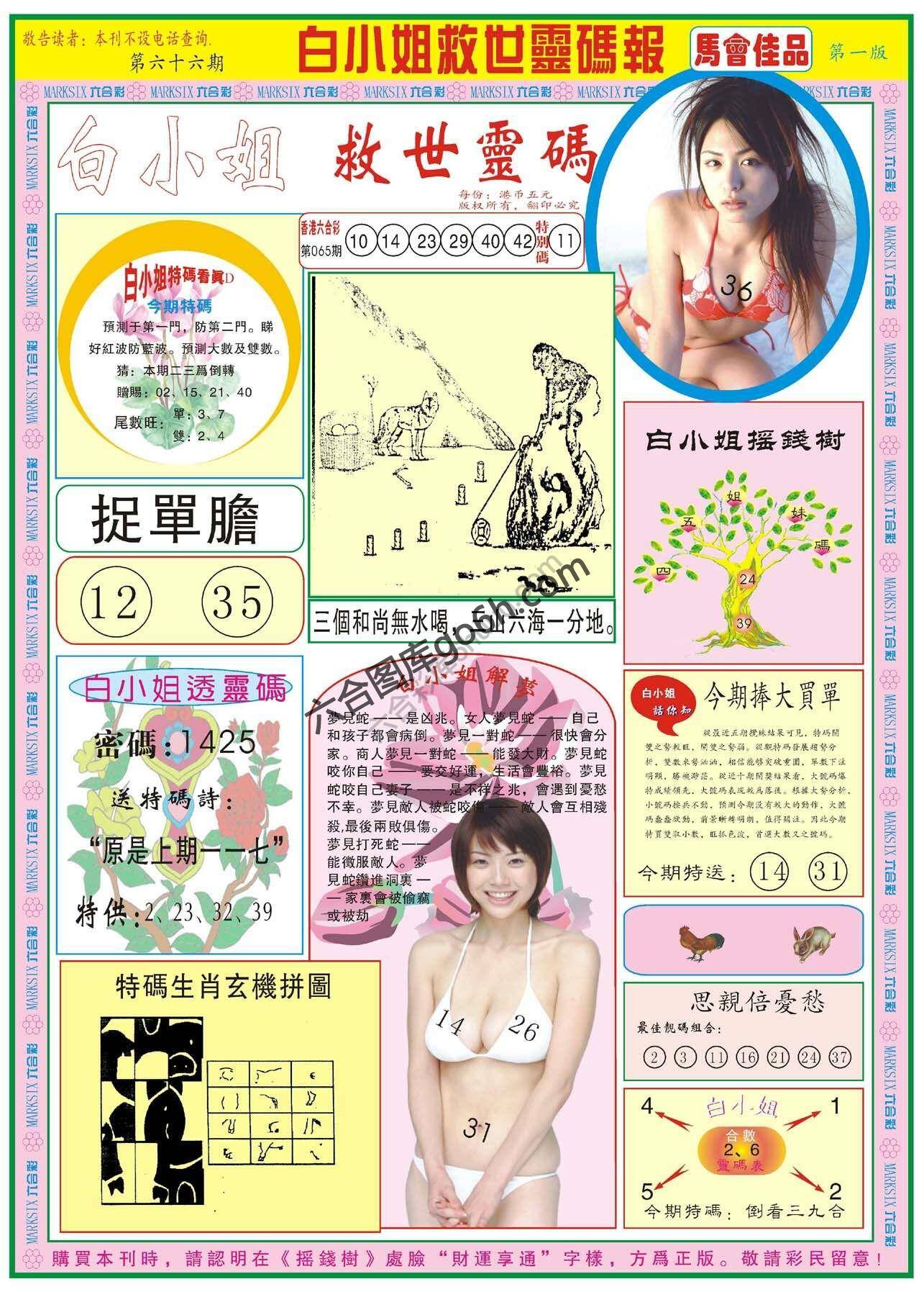 白小姐龙卷风