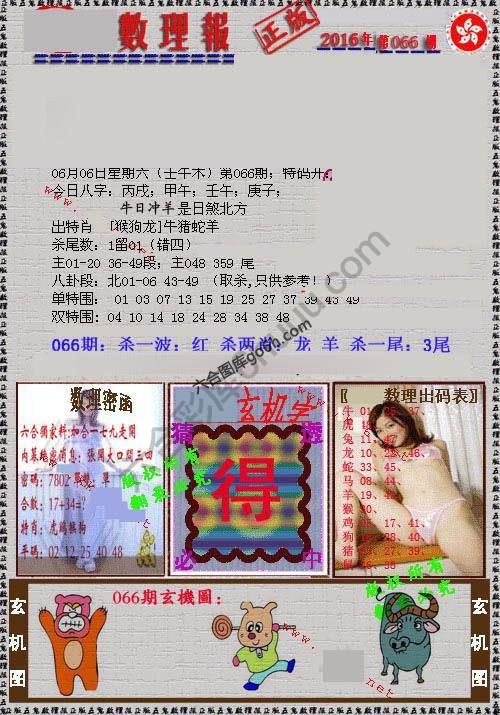 数理报