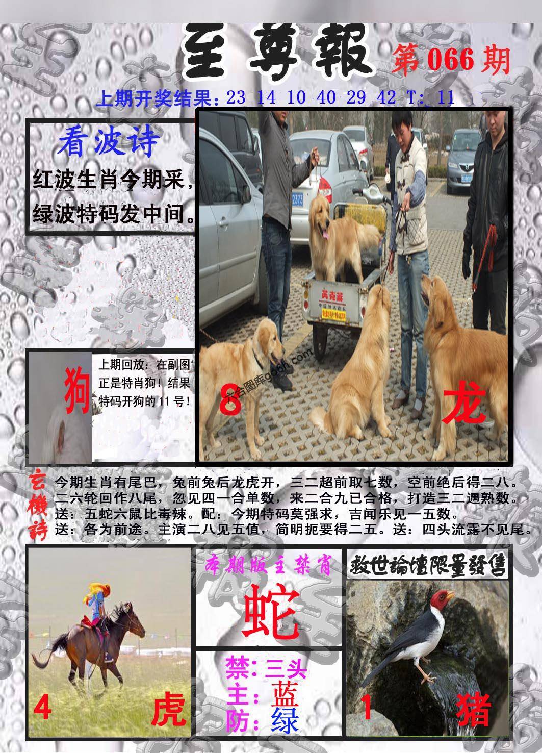 至尊报