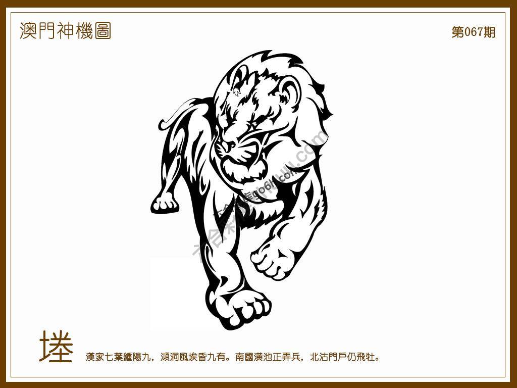 澳门神机图