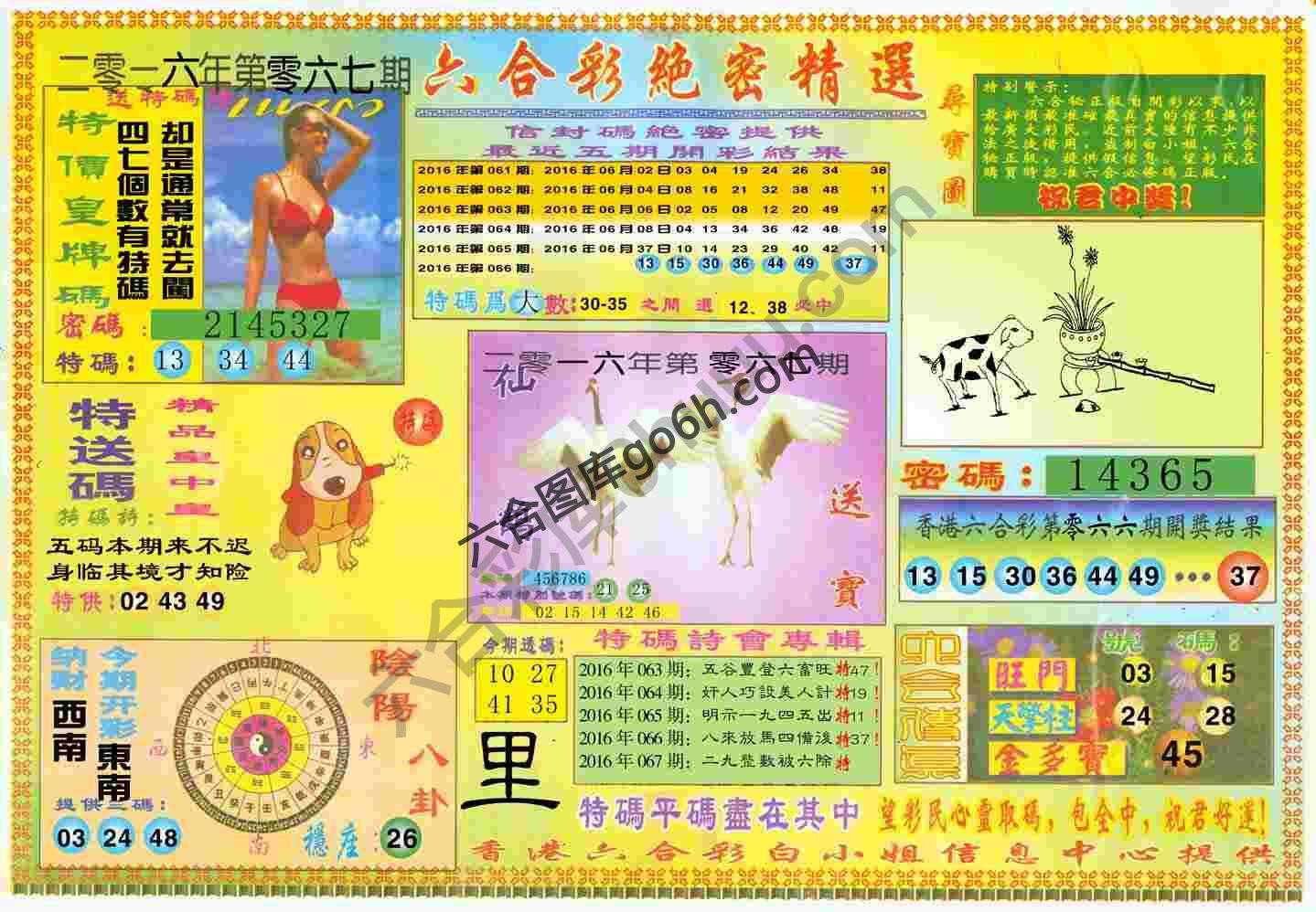 六合彩绝密精选
