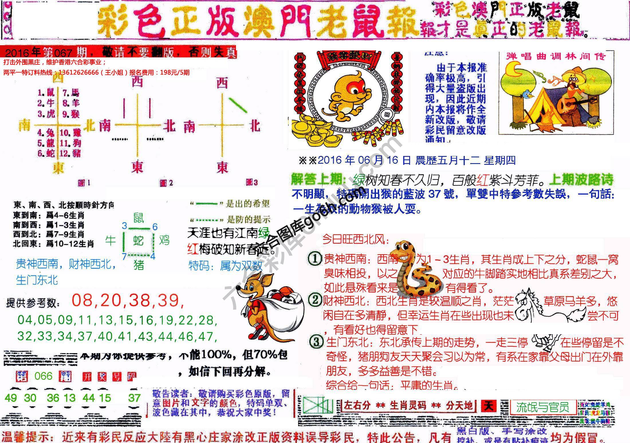 澳门老鼠报