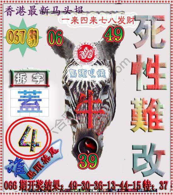 香港马头报
