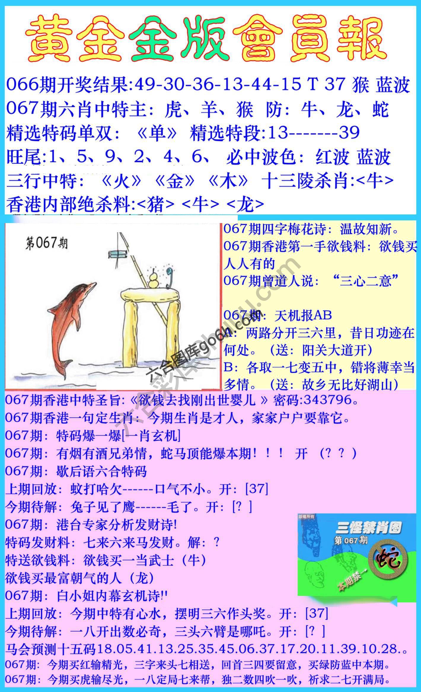 黄金金版会员报