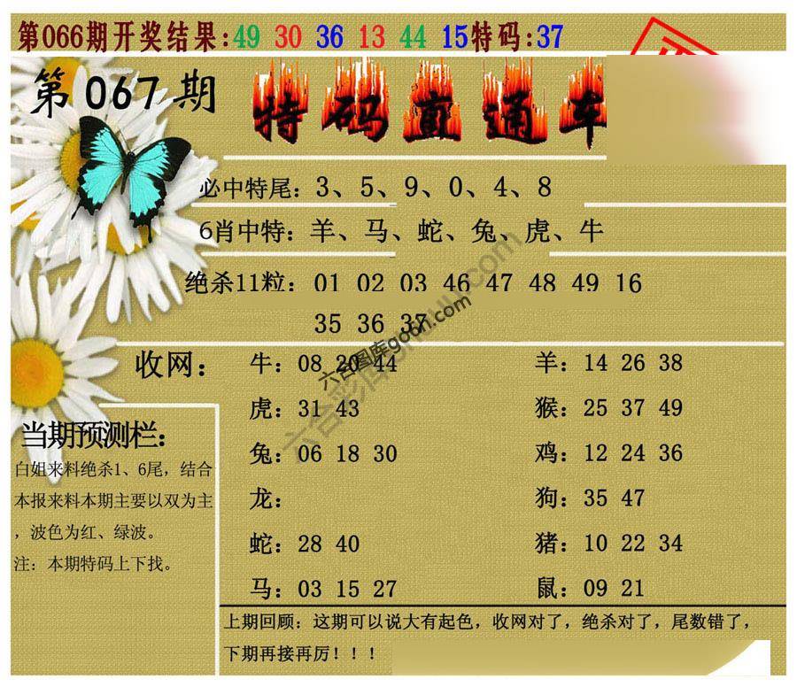 特码直通车