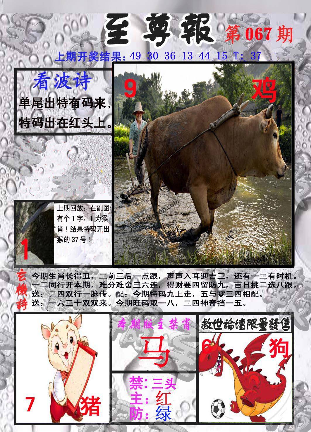 至尊报