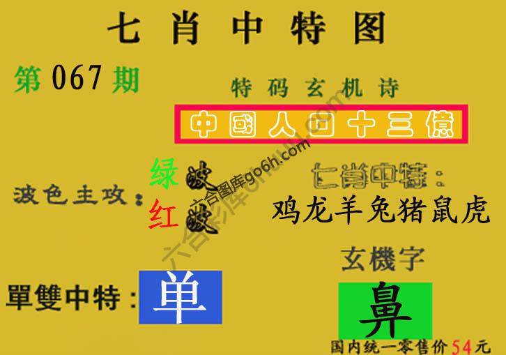 七肖中特图