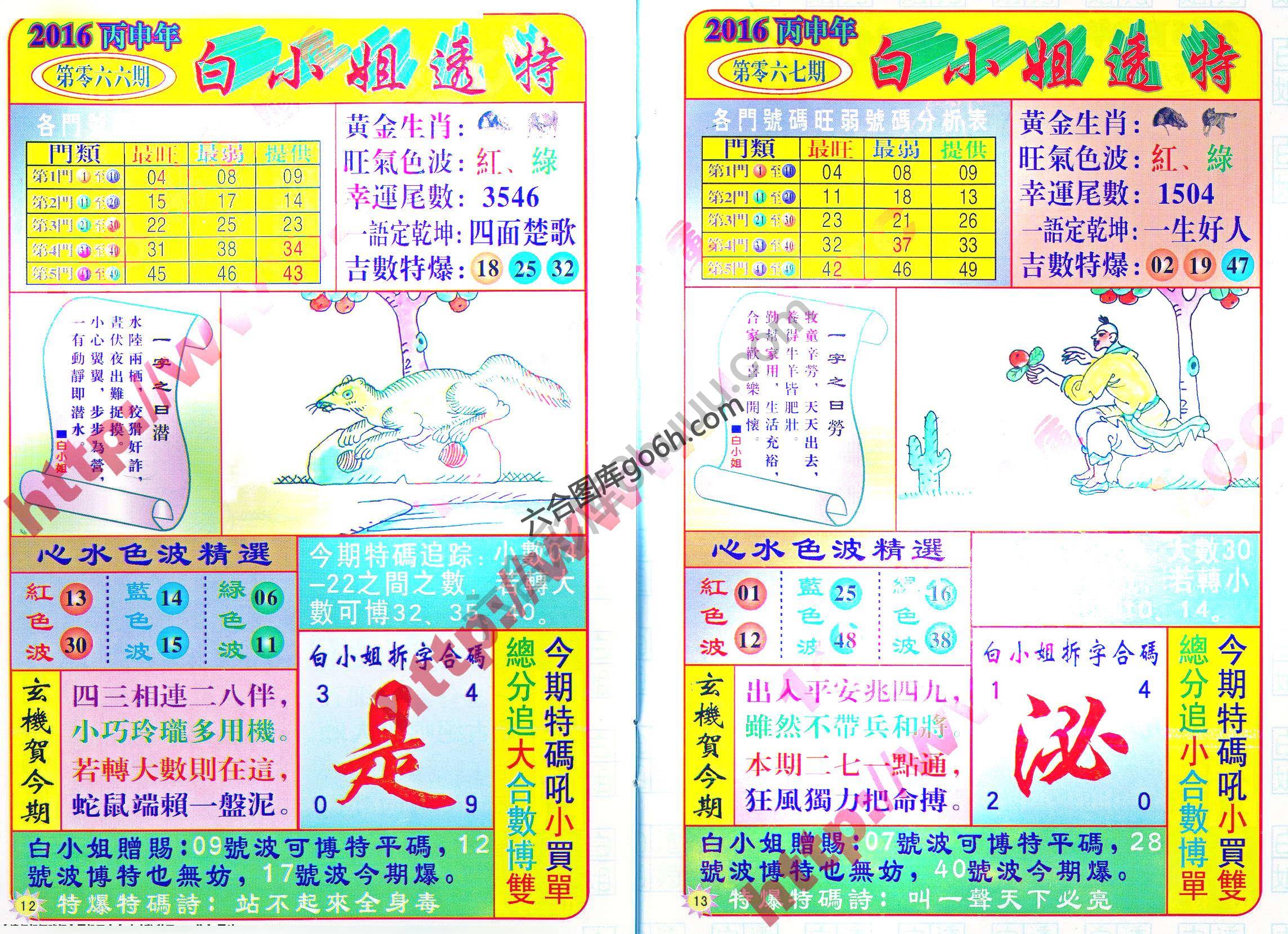 白小姐透特